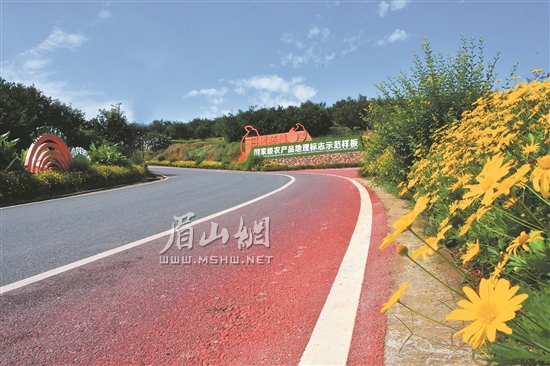 丹棱漂亮的農(nóng)村公路。.jpg