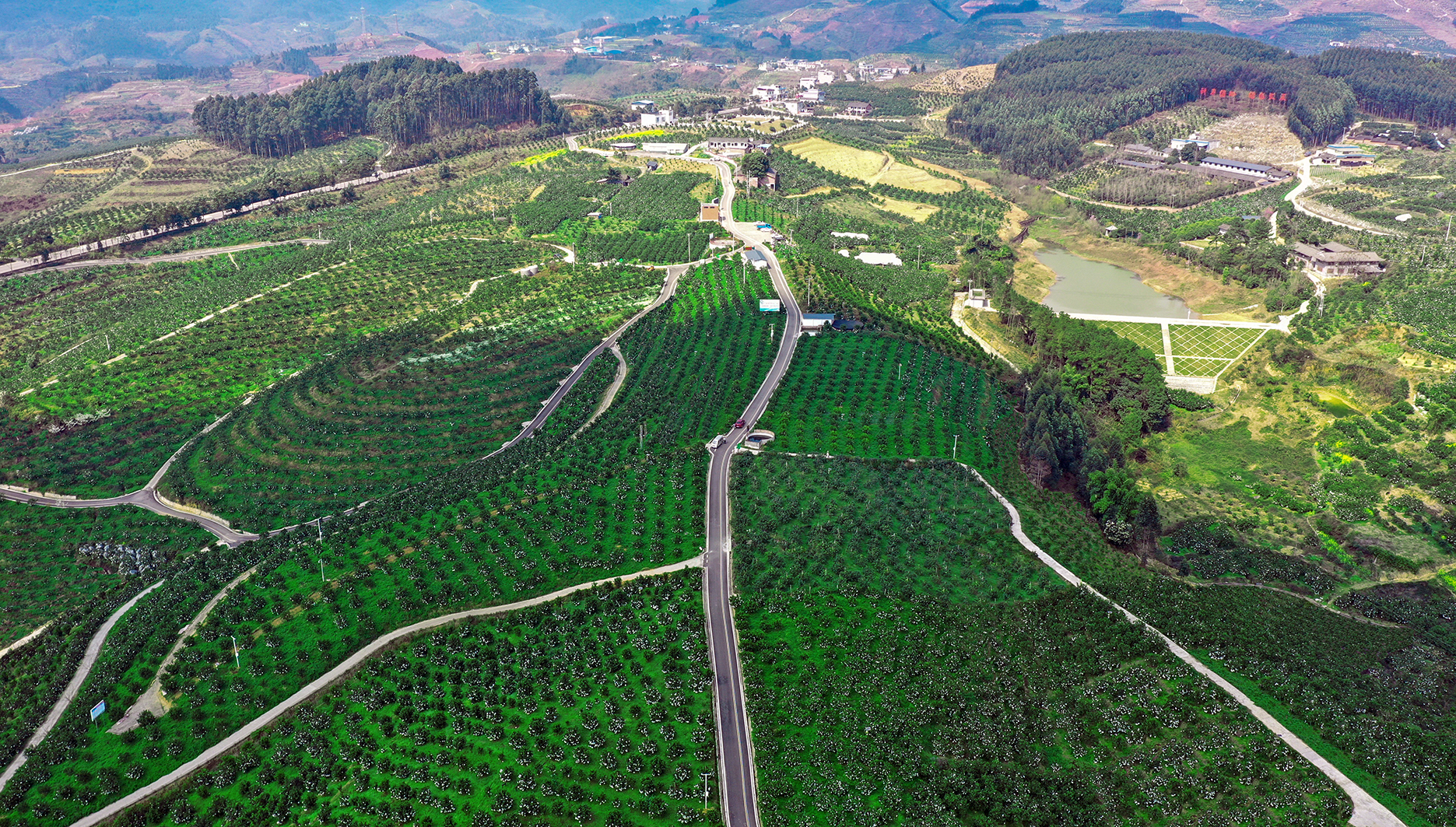 丹橙現代農業園區核心區——紅石村。