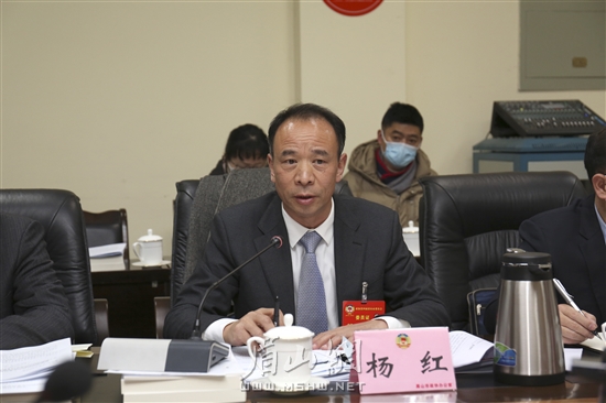 楊紅委員發言。