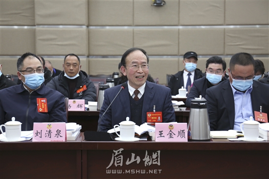 王金順委員發言。