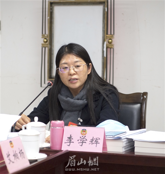 李學輝委員發言。